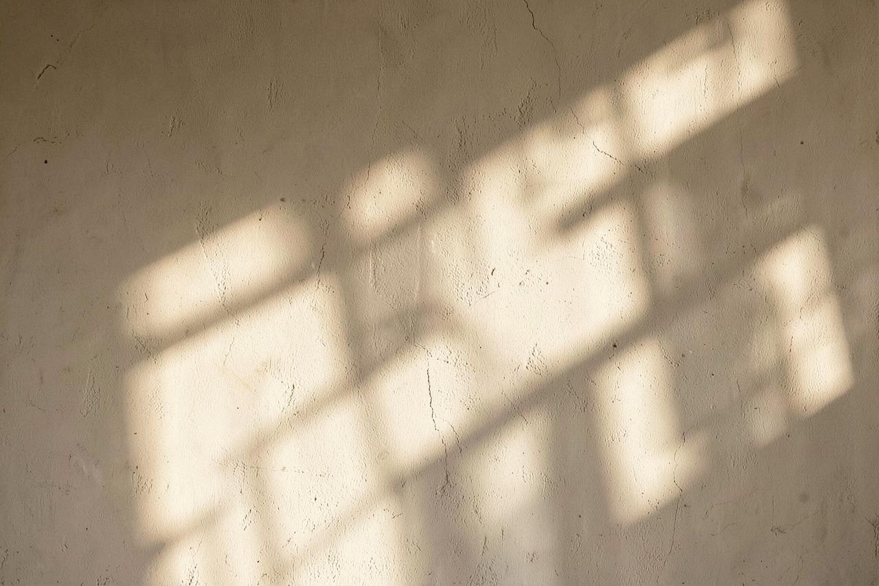 Light Study