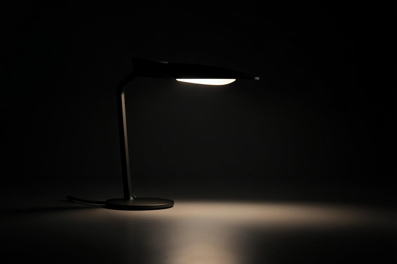 Lamp Study
